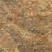 Forest_Brown