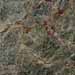 Forest_Green